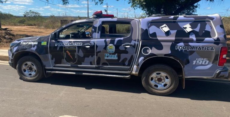 policia força tática valença