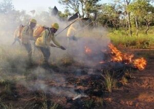 queimadas-defesa-civil-e-corpo-de-bombeiros_6360514224069883557