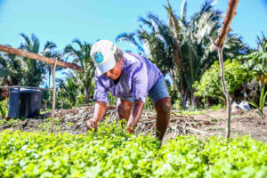 agricultura-familiar-d6a867b1c7-1724003739